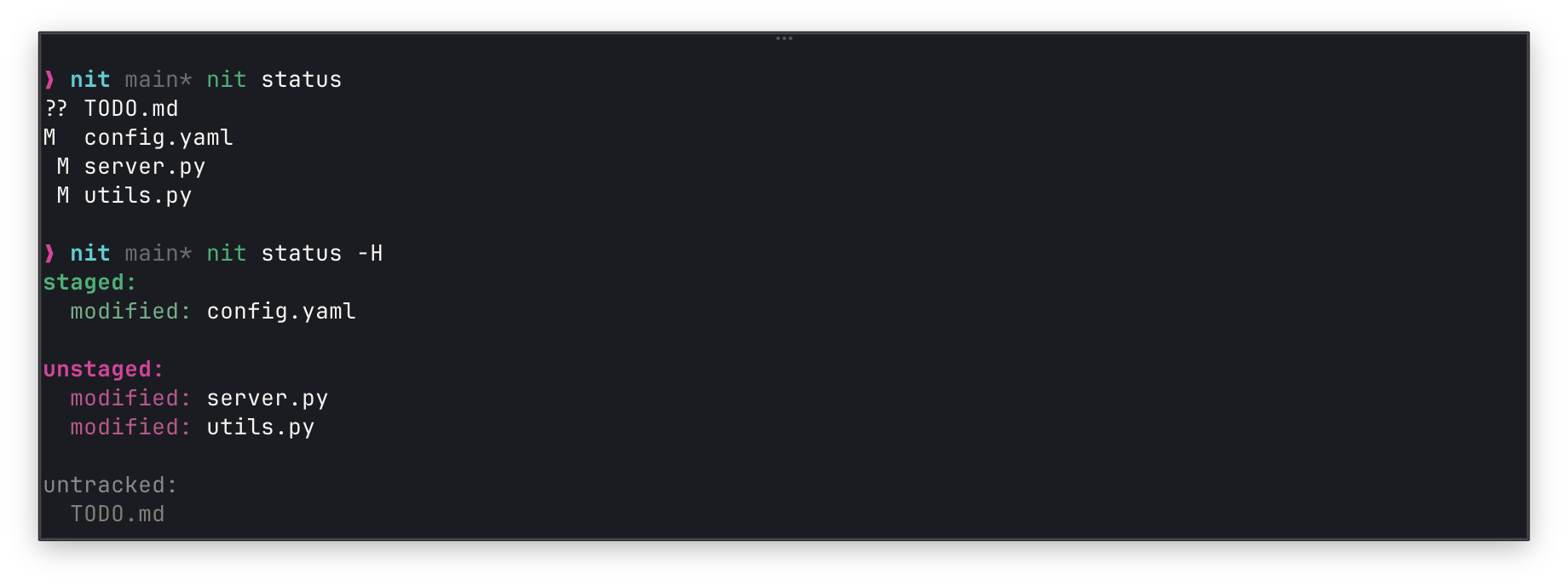nit status compact vs human comparison